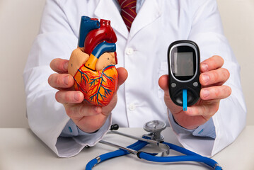 Doctor showing Anatomical model heart and glucometer in office hospital