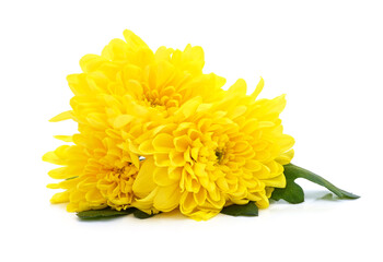 Bouquet of yellow chrysanthemums.