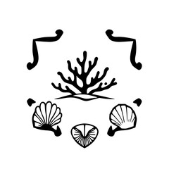 Black and white stylized illustration of marine life including a coral branch, two clamshells, and decorative corner elements.