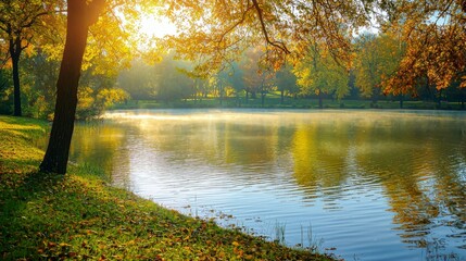 Obraz premium Serene Autumn Morning with Mist Over Calm Lake and Golden Light