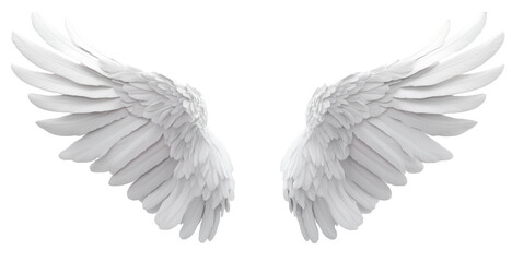 Obraz premium white angel wing isolated on transparent background.