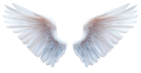 Obraz premium white angel wing isolated on transparent background.