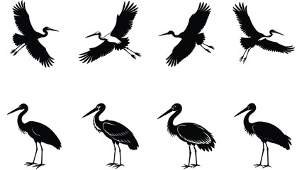 set of silhouettes of stork