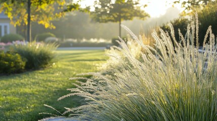 Morning Light on Dewy Grass and Blades in Serene Garden Setting