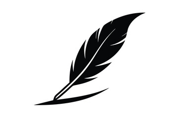 Obraz premium vector illustration of feather