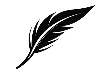 Obraz premium feather and ink