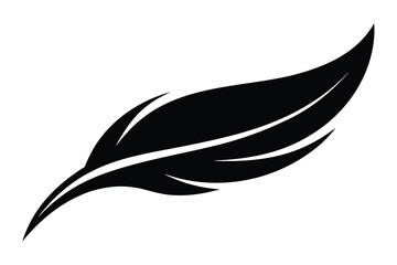 black and white feather © dipu