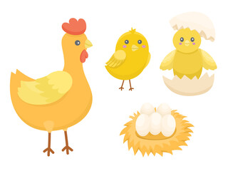 Educational set of vector illustrations, birth of cute chickens step by step. From egg to adult hen and chickens. Cute children's educational illustration for kindergarten and school children