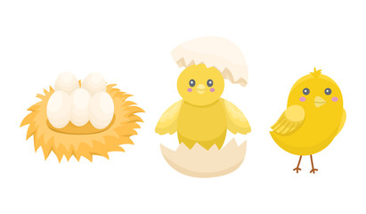 Concept of three stages of birth of little chicken, egg and birth. Vector cute illustration for farm, children's illustrations, character cute yellow chicken. Easter animal