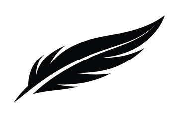 feather vector illustration © dipu