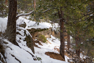 Upper Deschutes walking trail in winter 