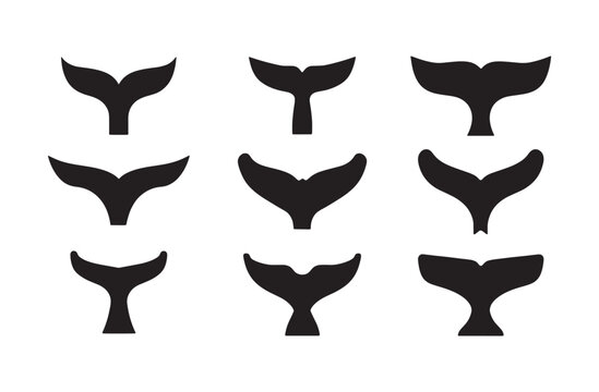 Whale, shark, fish tale vector icon. Fin of the fish illustrattion. 