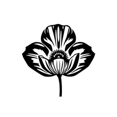 Simple Black and White Poppy Flower Graphic
