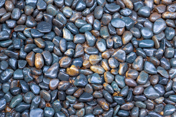 Shiny pebble stone on the beach. Background, texture. View top