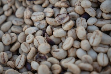 Drying and Defective Coffee Beans in Different Processing Stages