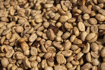 Drying and Defective Coffee Beans in Different Processing Stages