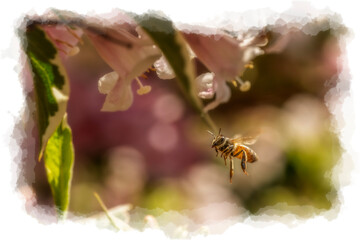 A bee hovers gracefully near delicate pink flowers, captured in a moment of natural beauty. Soft, blurred backgrounds highlight the vivid details of the foliage and the bee in flight.