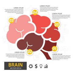 Infographics vector brain design. vector illustration.