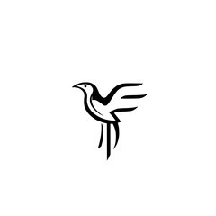 Minimalist stylized bird icon illustration, white background, clean lines, black and white, monochrome, simple design.