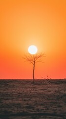 Sunset silhouette of a lonely tree in a desert landscape natural beauty serene atmosphere