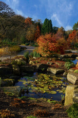 A garden decorated with tranquil water lilies and a pond revealing autumn foliage, RHS Garden, Harlow Carr, Harrogate.....