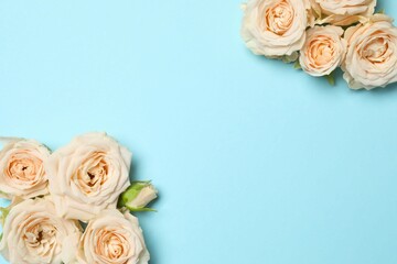 Beautiful composition with peony roses on color background