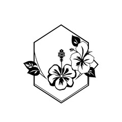"Hibiscus Flowers: A stylized black and white line art illustration against a plain white background"