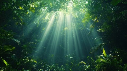 Sunlight streams through lush underwater jungle canopy