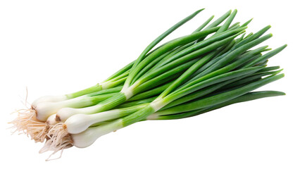 fresh green onion