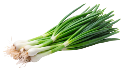 fresh green onion