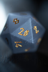 D20