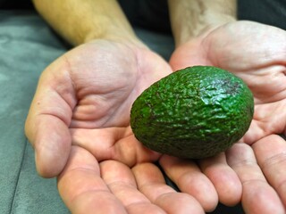 an avocado held by human hands