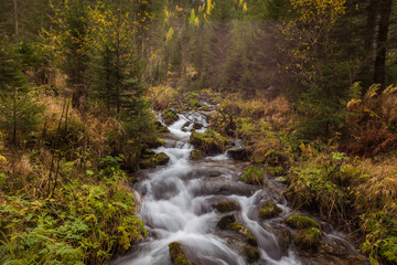 Bachlauf am Hütschlag Österreich