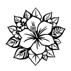 Detailed black and white illustration of a Hibiscus flower and leaves.