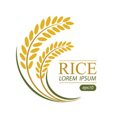Rice. Logo design template vector illustration.