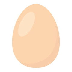 Egg isolated on white background.Brown chicken egg vector graphic element.