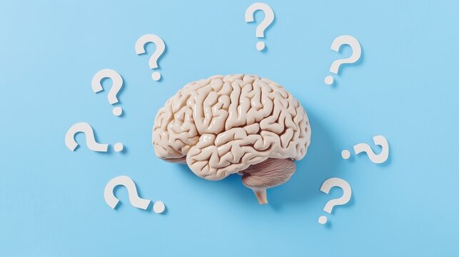 Brain surrounded by question marks on a blue background illustrating curiosity and inquiry in cognitive thought processes