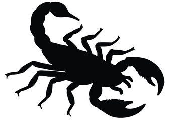 Silhouette of scorpion isolated on a white background