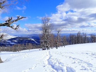 Winter snow mountain cabin panorama. Winter mountain snow forest tree. landscape mountain snow. Winter and cold Winter forest in Algeria, Jijel North Africa, snow covered trees and cold weather. Arabs