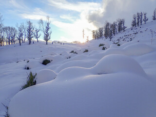 Winter snow mountain cabin panorama. Winter mountain snow forest tree. landscape mountain snow. Winter and cold Winter forest in Algeria, Jijel North Africa, snow covered trees and cold weather. Arabs