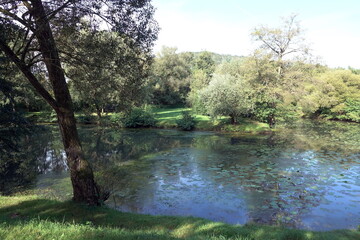 See an der Kinzig bei Gelnhausen