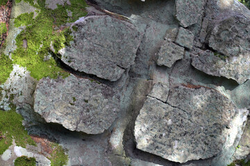 Relief and texture of stone with green moss on the surface.