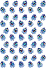 Vector pattern of peacock feathers
