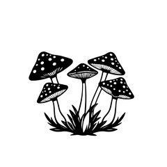 Black and white graphic illustration of five mushrooms growing from a bush.