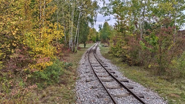Abandoned tracks of the former mining railway