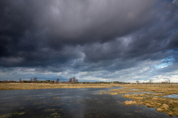 Landscape - early spring time in Narew river valley. Backwaters. flooded meadows by the river. Sunset or sundown in river valley.
