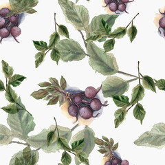 

Watercolor seamless background with garden beets and leaves.
