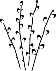 Silhouette of spring willow twigs. Catkin willow. Vector illustration with transparent background. © Iryna Sychova