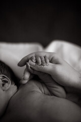 mother and baby hands
