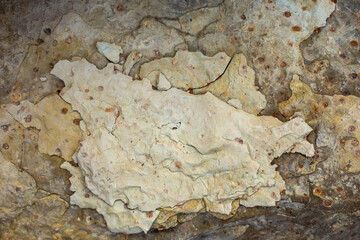 Gravel texture. Small stones, little rocks, pebbles in many shades of grey,